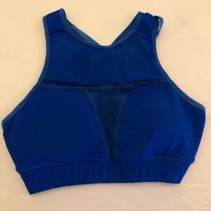 Chestee "The Tiffany" Sports Bra in Royal Blue